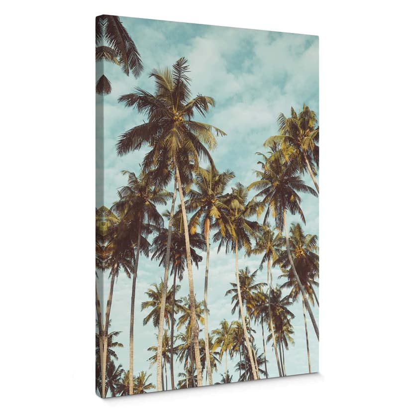 Obraz na płótnie Palms 08
