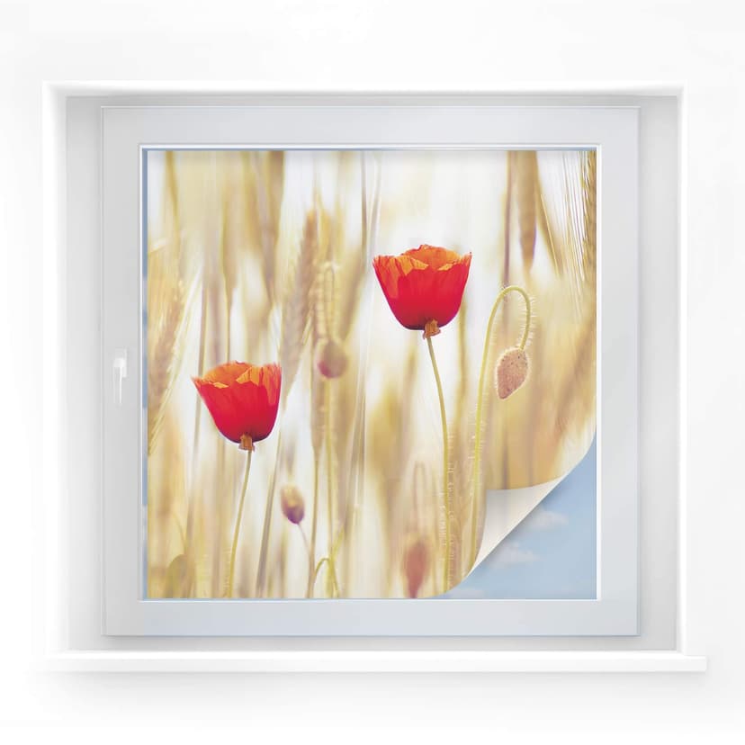 Folia chroniąca prywatność Poppies - kwadrat
