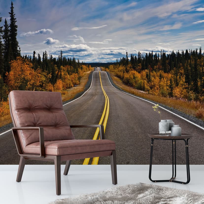 Fototapeta Road Trip - 288x260 cm