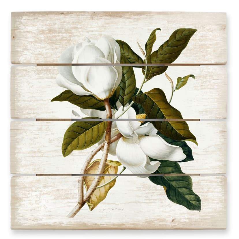 Obraz drewniany Ehret - Magnolia - 40x41,5 cm