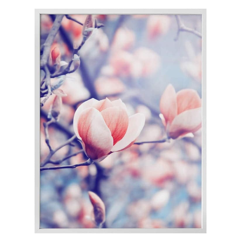 Plakat z pąkami magnolii