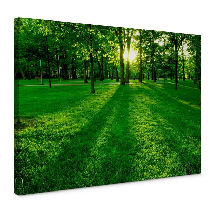 Obraz na płótnie park na wsi