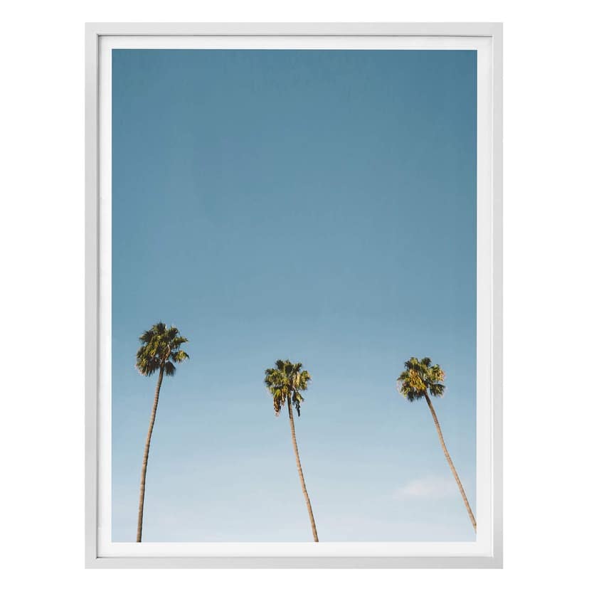 Plakat Palms 02