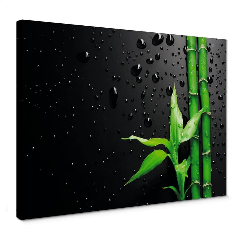 Obraz na płótnie Bamboo Over Black
