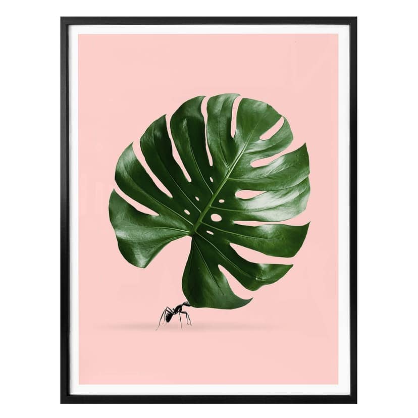 Plakat Loose - Monstera Ant