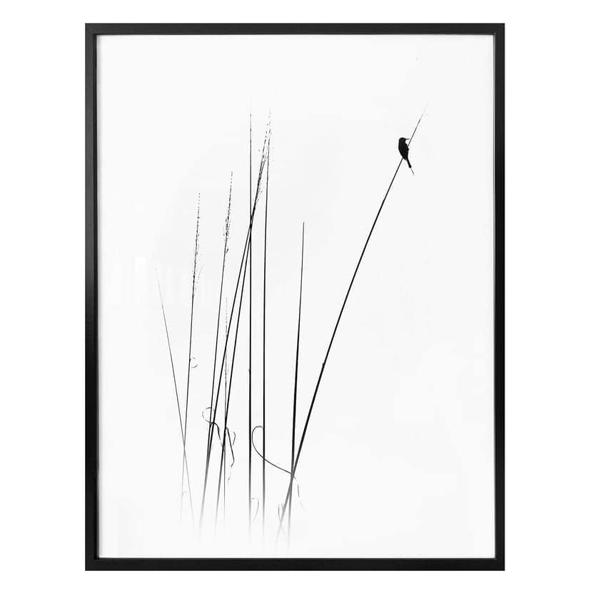 Plakat Swapnil - Czas wolny