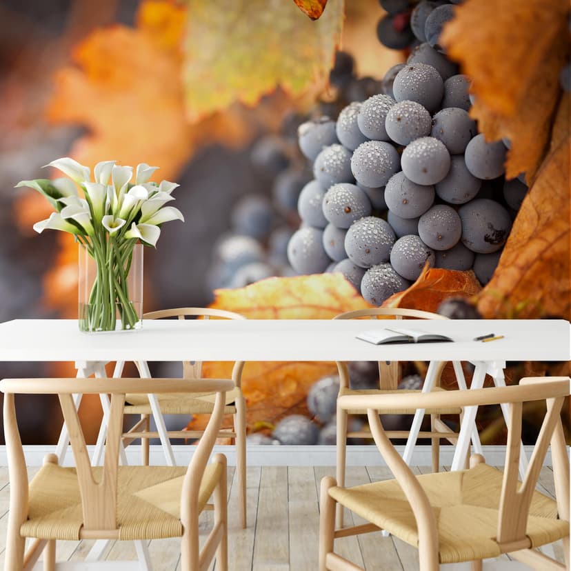Fototapeta Wino jesienią - 336x260 cm