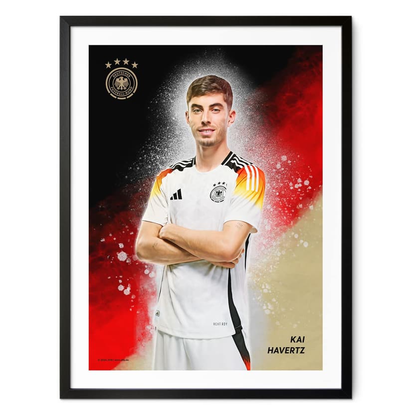 Plakat, Obrazy DFB Havertz