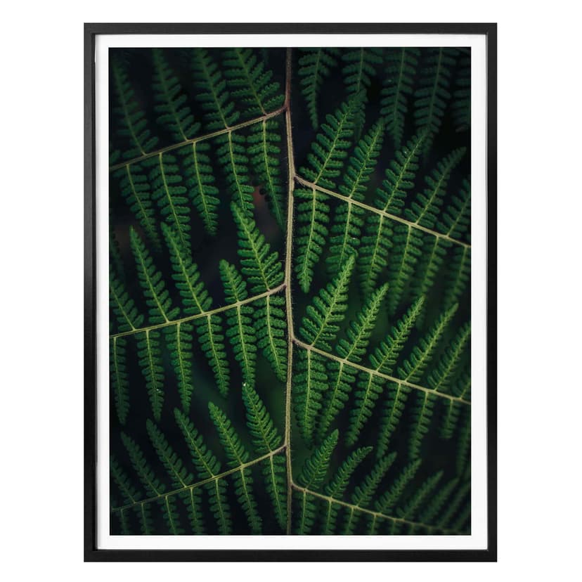 Plakat Botanical 03