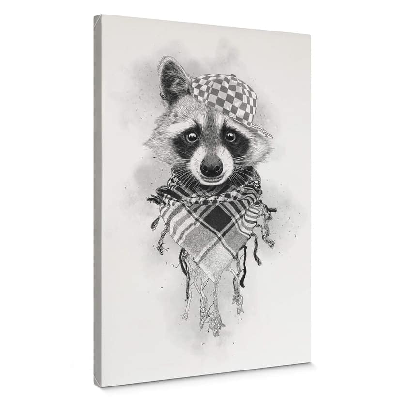 Obraz na płótnie Kools - Rocco Raccoon
