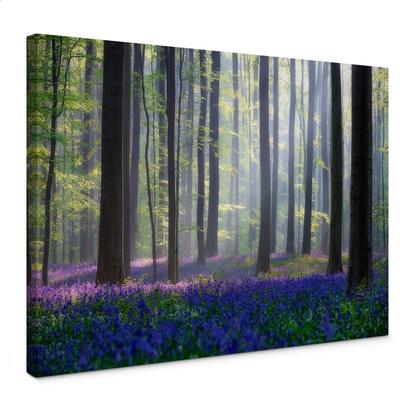 Obraz na płótnie Popan - Bellflowers