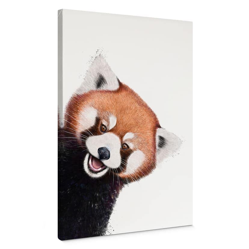 Obraz na płótnie Czerwona panda - Korenkova