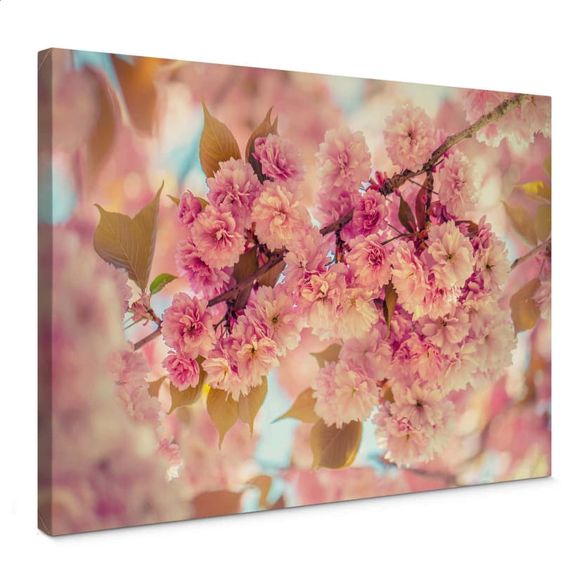 Leinwandbild Delgado - Kirschblüten