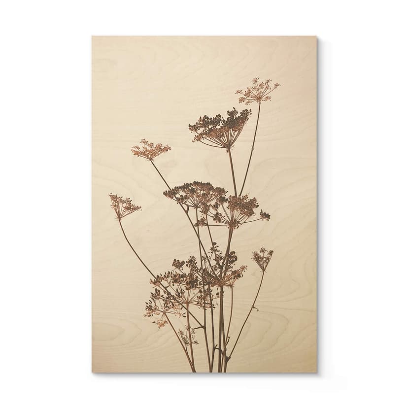 Plakat drewniany dzikie trawy