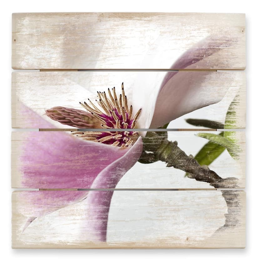 Obraz drewniany magnolia - 40x41,5 cm