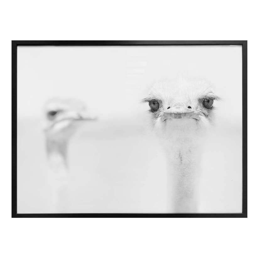 Plakat Tonti - Moment