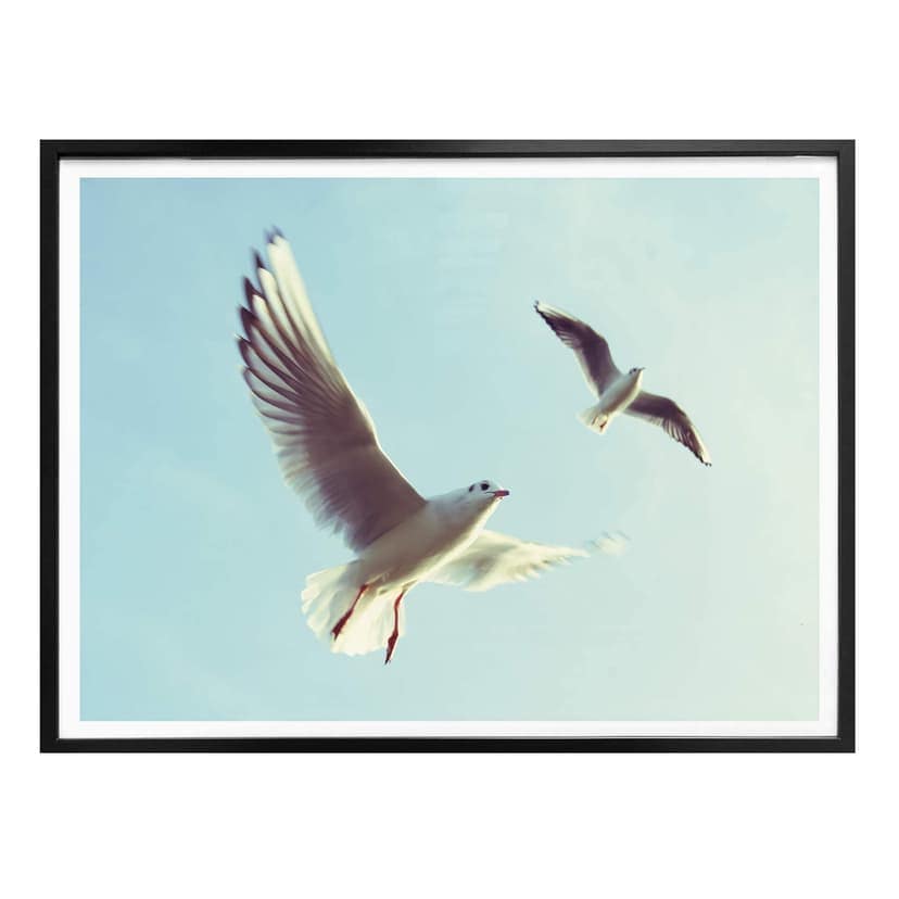 Plakat Mewy 02