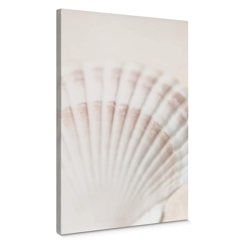 Obraz na płótnie 1X Studio - Scallop
