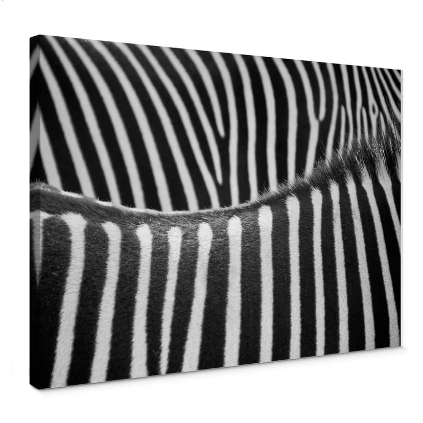 Obraz na płótnie wzór zebra