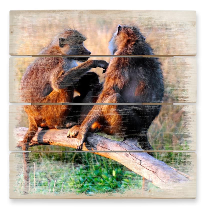 Obraz drewniany małpi gang - 40x41,5 cm