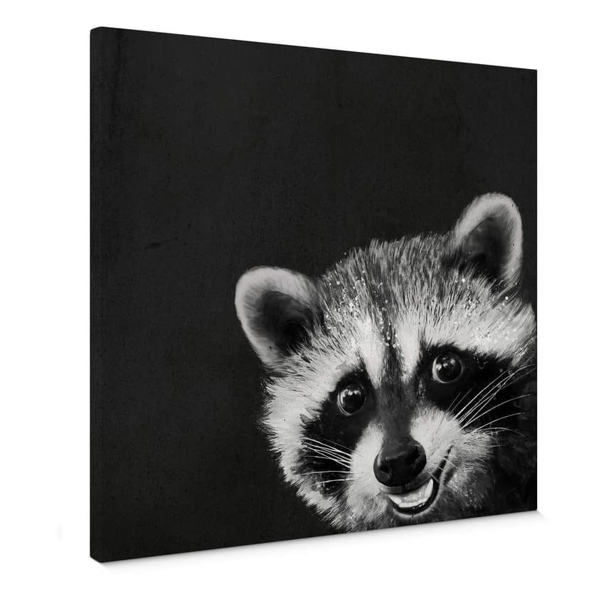 Obraz na płótnie Graves - Racoon