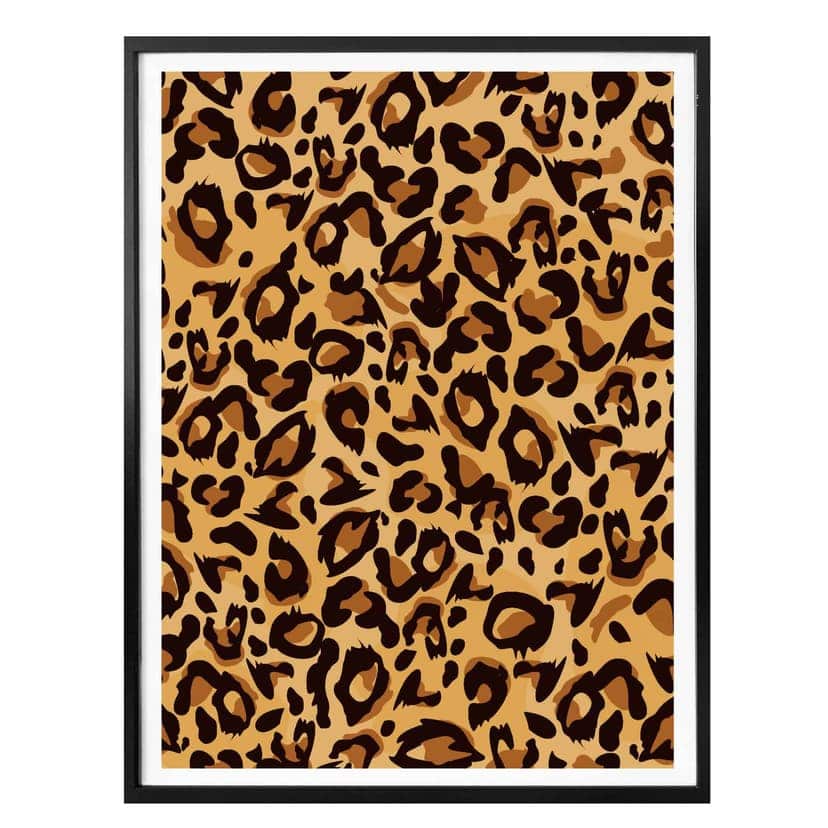 Plakat Leopard - Próbki