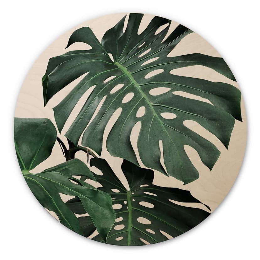 Obraz drewniany Sisi & Seb - Monstera - Okrągły