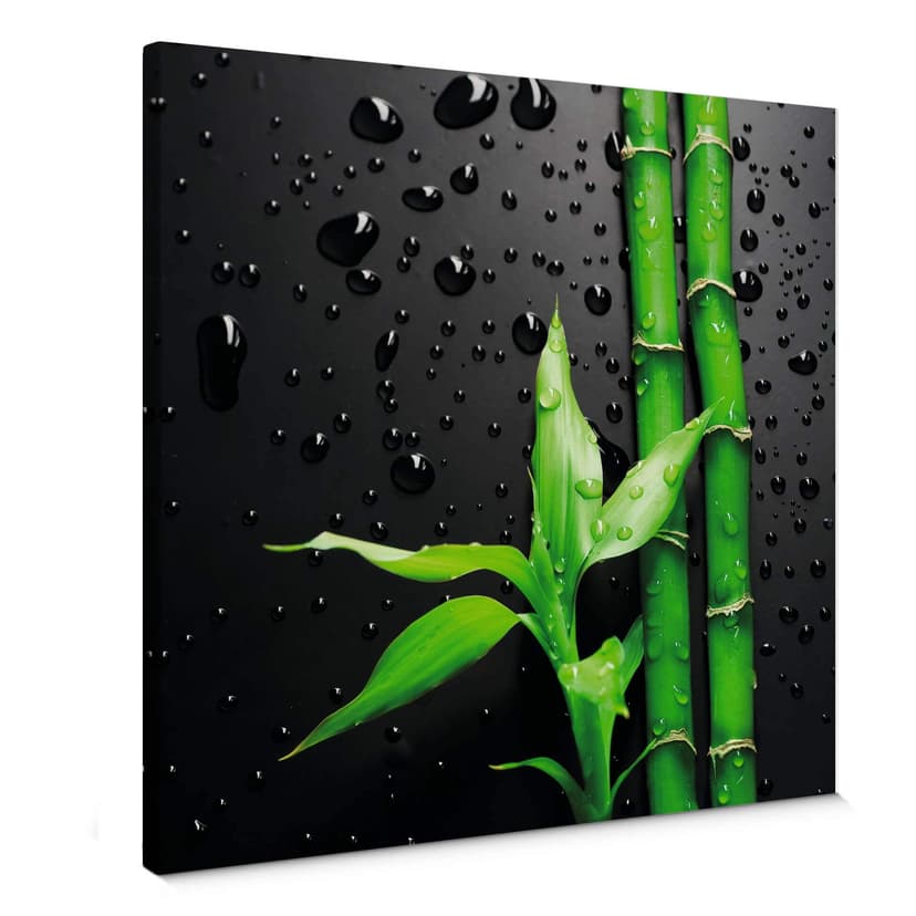 Obraz na płótnie Bamboo Over Black - kwadrat