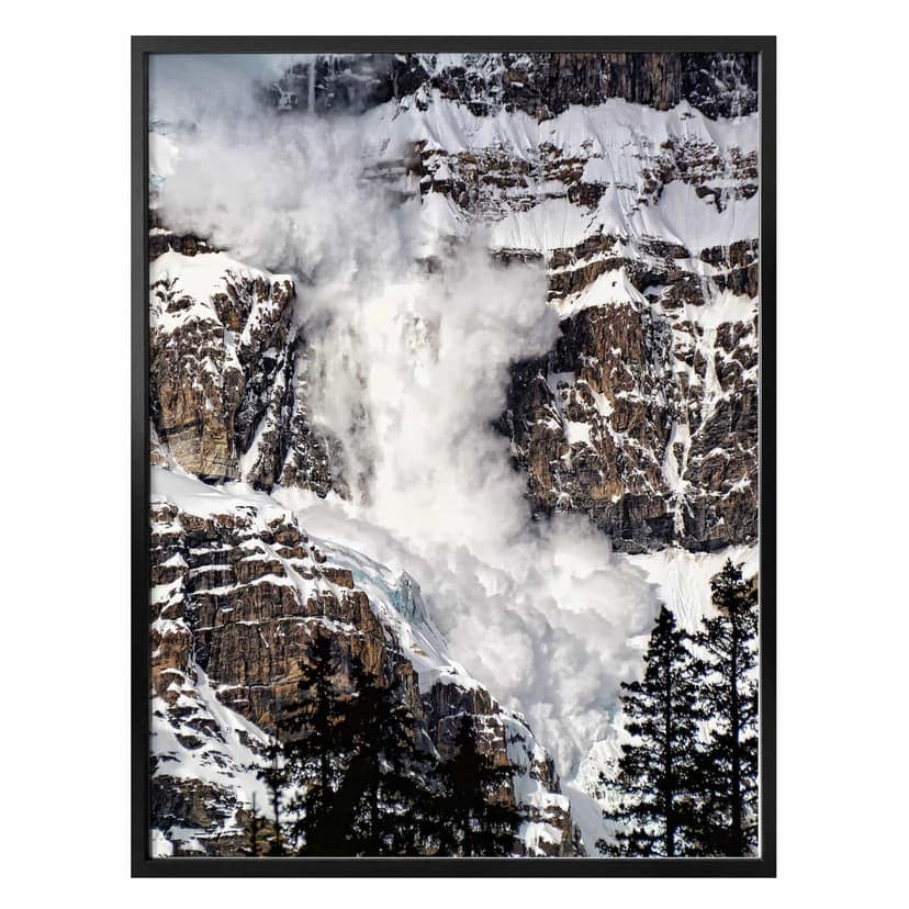 Plakat Turgeon - Lawina