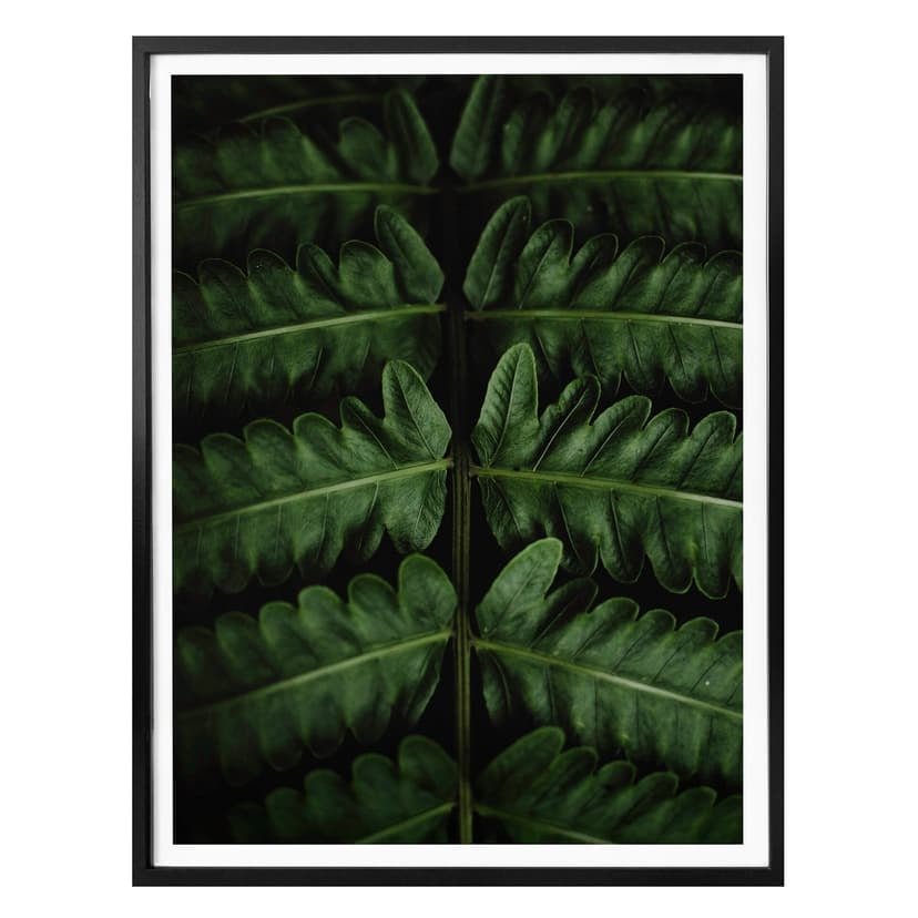 Plakat Botaniczny 02