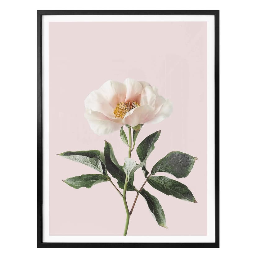 Plakat Sisi & Seb - Delicate