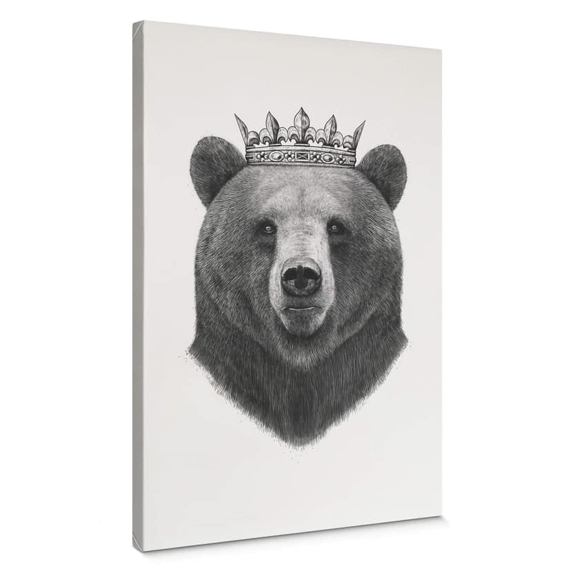 Obraz na płótnie Korenkova - King Bear