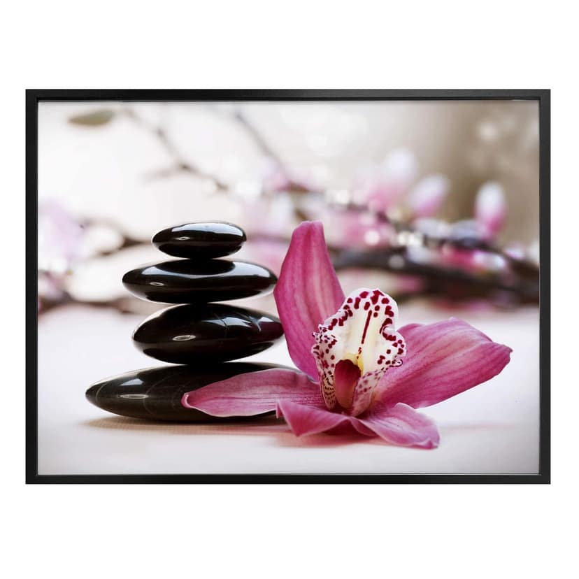 Orchidea z Plakatu