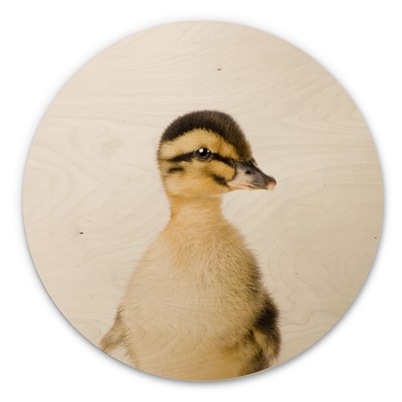 Obraz drewniany Sisi & Seb - Kaczuszki - Okrągły