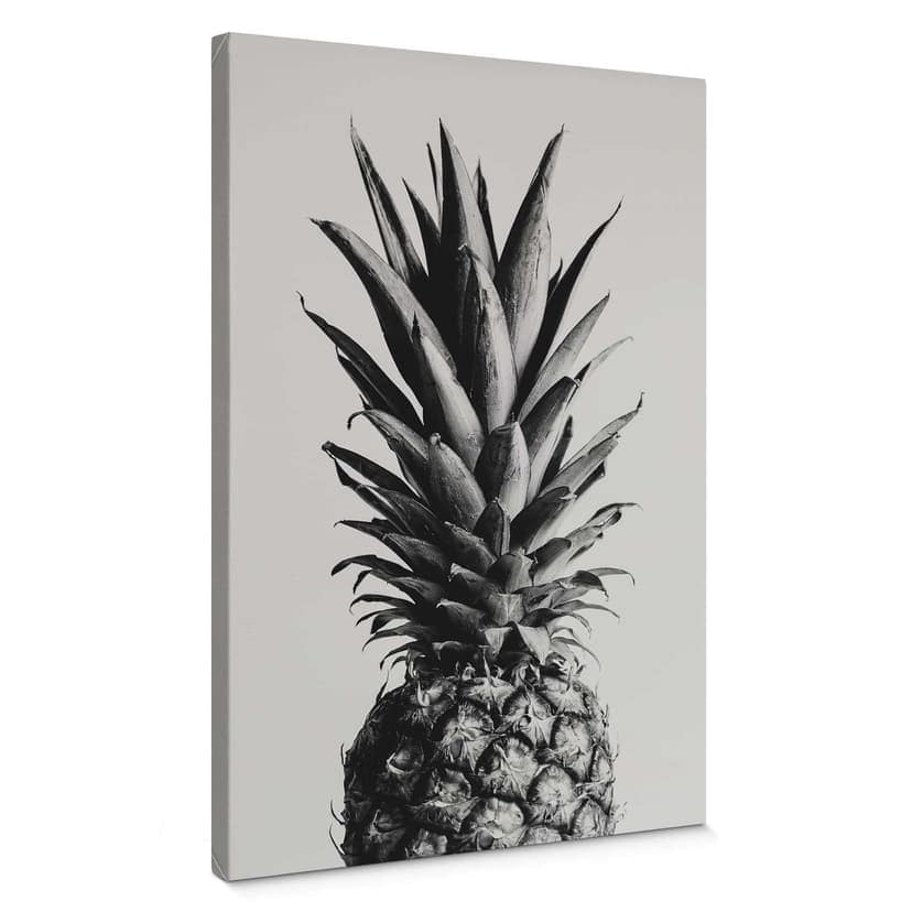 Obraz na płótnie 1X Studio - Ananas