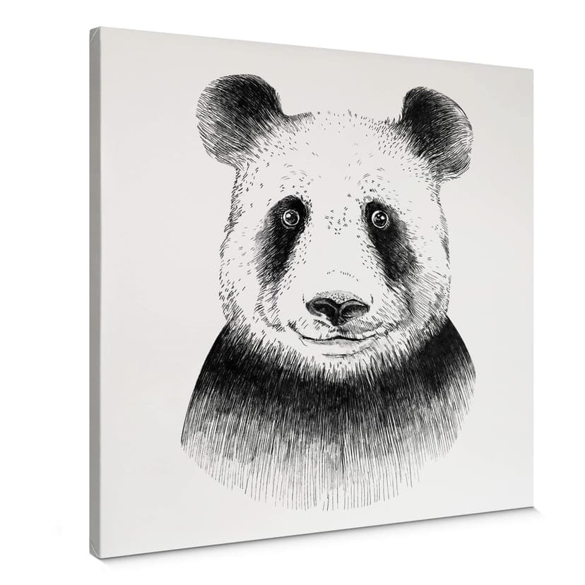 Canvas Kvilis - Miś panda