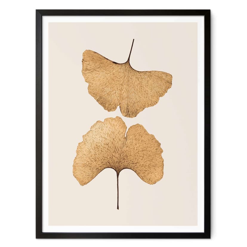 Plakat Lenka - Ginkgo