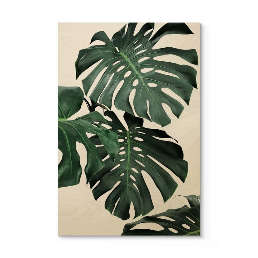 Plakat drewniany Sisi & Seb - Monstera