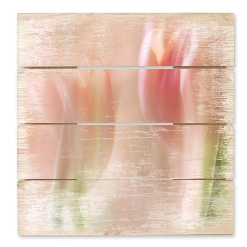 Obraz drewniany Westum - Nieśmiałe tulipany - 40x41,5 cm