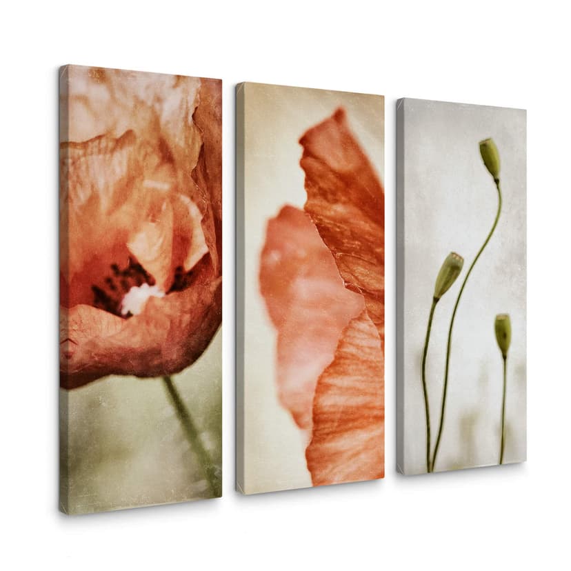 Obraz na płótnie Davidsson - Poppy - 3x 30x80 cm