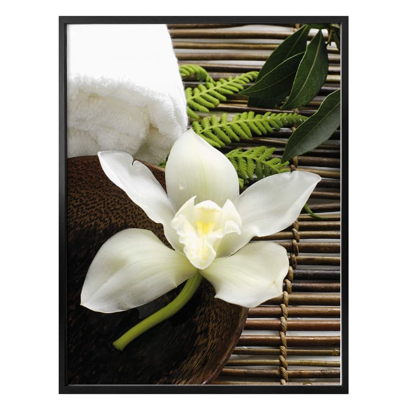 Plakat Wellness Orchidea