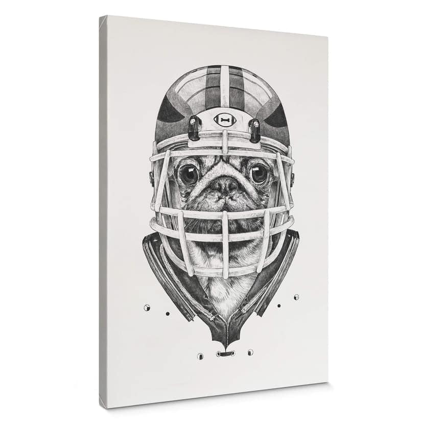 Leinwandbild Kools - American Pug Football