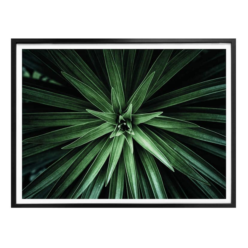 Plakat Botaniczny