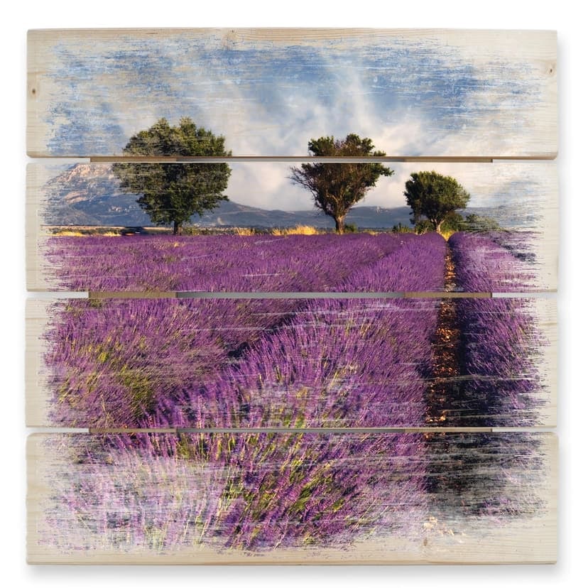 Obraz drewniany pole lawendy - 40x41,5 cm