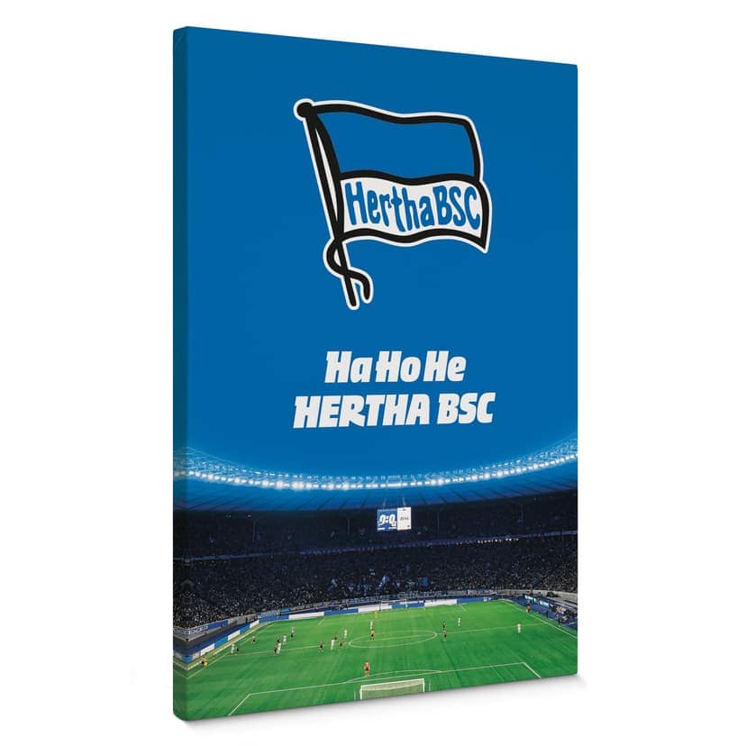 Obraz na płótnie Hertha BSC - HaHoHe