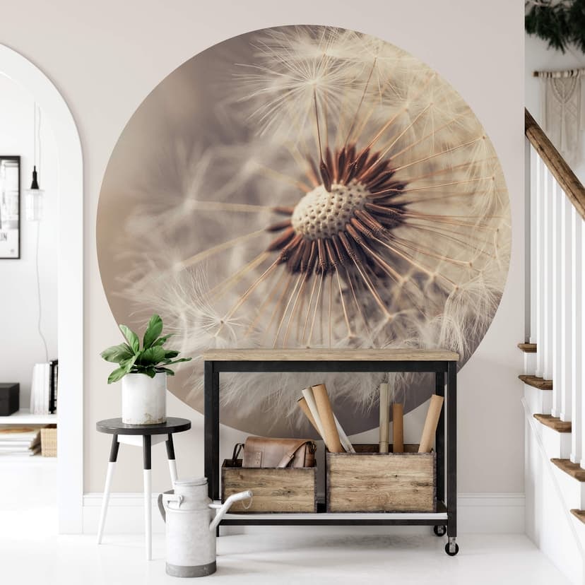 Delgado - Dandelion - Fototapeta okrągła - tapeta flizelinowa/tapeta flizelinowa samoprzylepna