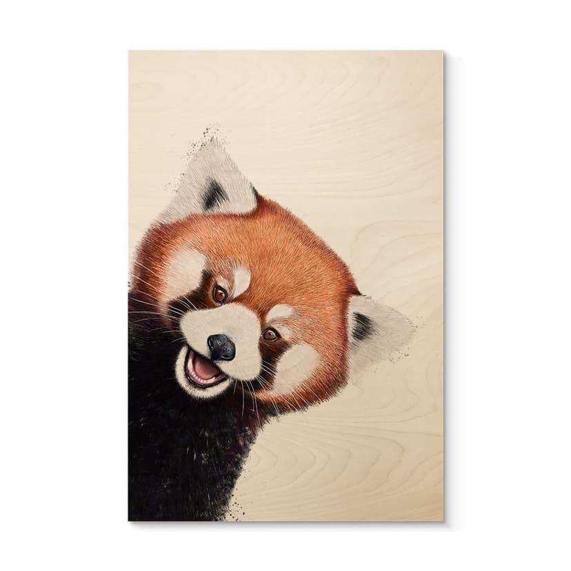 Plakat drewniany Czerwona Panda - Korenkova