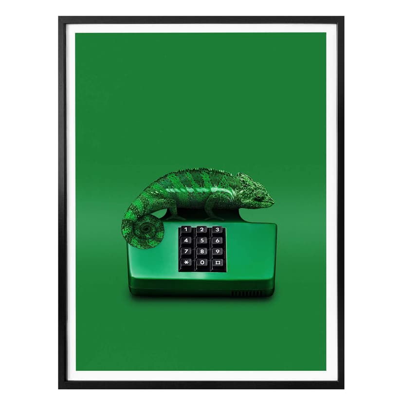 Plakat Loose - Chamelephone