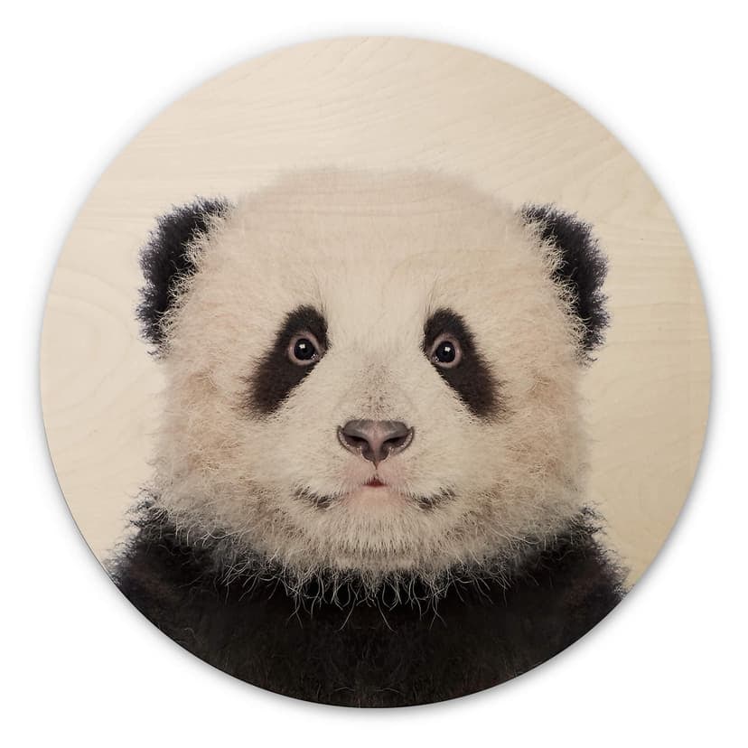 Obraz drewniany Sisi & Seb - Baby Panda - okrągły