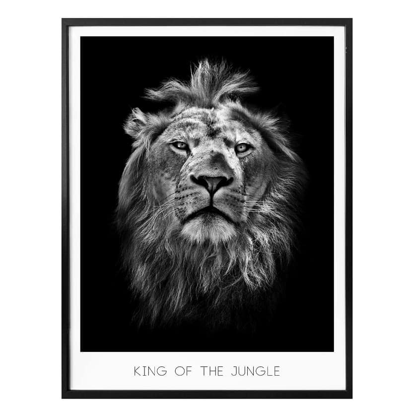 Plakat Lew - Król dżungli